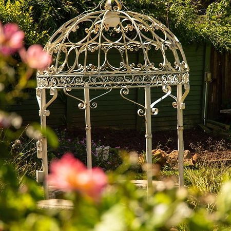 Lincoln Cottages Bnb & Self-Catering Pietermaritzburg Extérieur photo